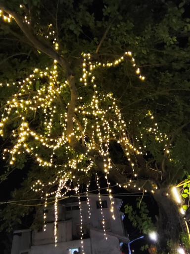 عکس پلا کباب سرخ جول