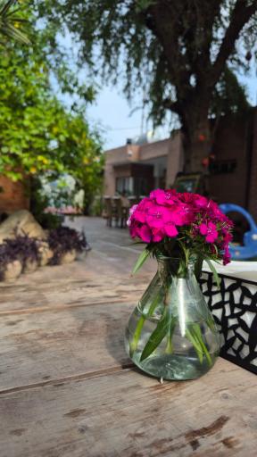 باغ رستوران ترمه