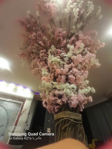 عکس کافه رستوران بهار