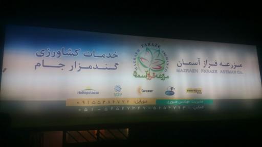 عکس خدمات کشاورزی و دامپروری گندمزار جام 