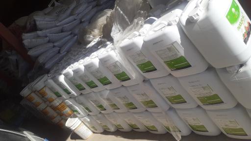 عکس خدمات کشاورزی و دامپروری گندمزار جام 