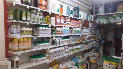 خدمات کشاورزی و دامپروری گندمزار جام 