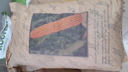 عکس خدمات کشاورزی و دامپروری گندمزار جام 