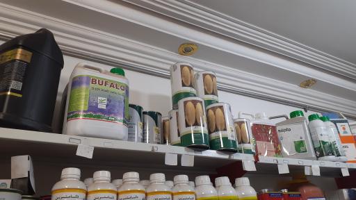 عکس خدمات کشاورزی و دامپروری گندمزار جام 