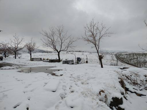 عکس آرامستان عنبران