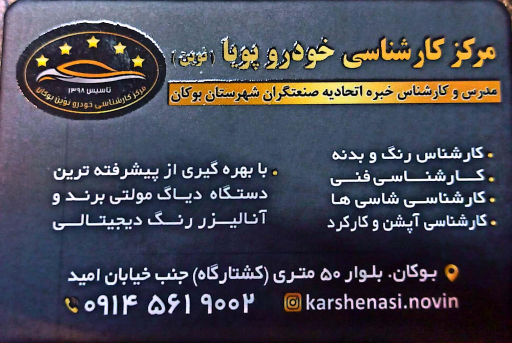 کارشناسی رنگ و فنی پویا