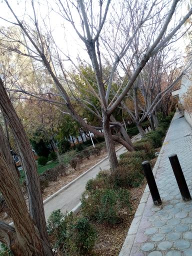 عکس پارک مهربانی