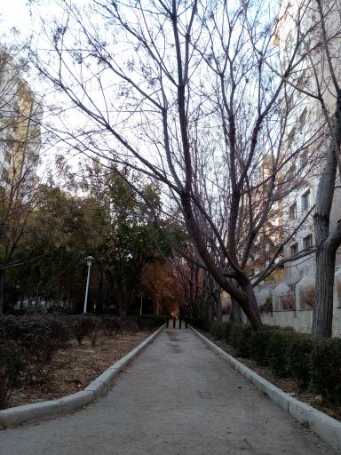عکس پارک مهربانی