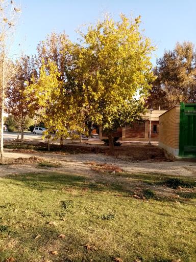 عکس پارک مهربانی