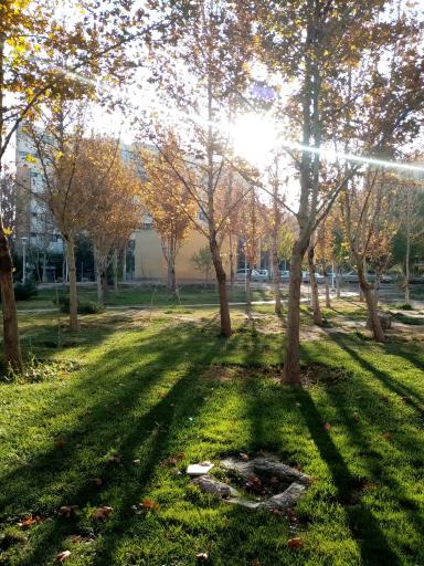 عکس پارک مهربانی