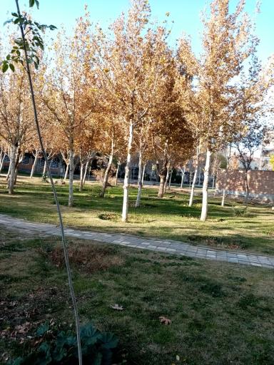 عکس پارک مهربانی