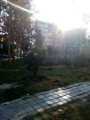 عکس پارک مهربانی