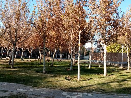 پارک مهربانی