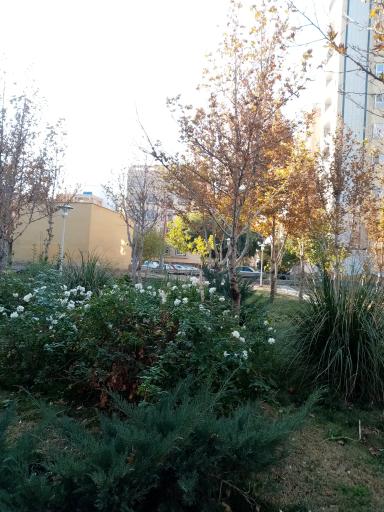 پارک مهربانی