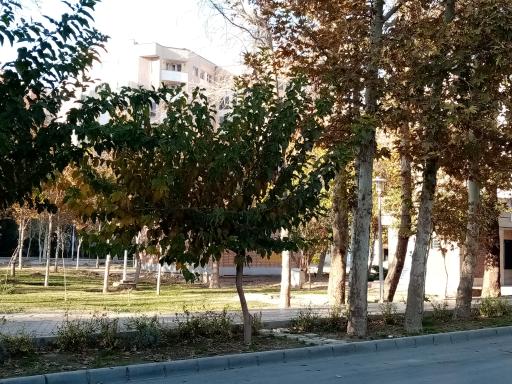 پارک مهربانی