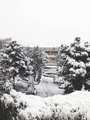 عکس دانشگاه فرهنگیان پردیس حضرت معصومه (س)