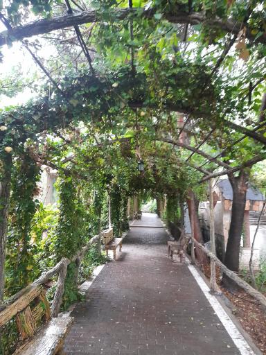 عکس سالن ورزشی بابک مروج