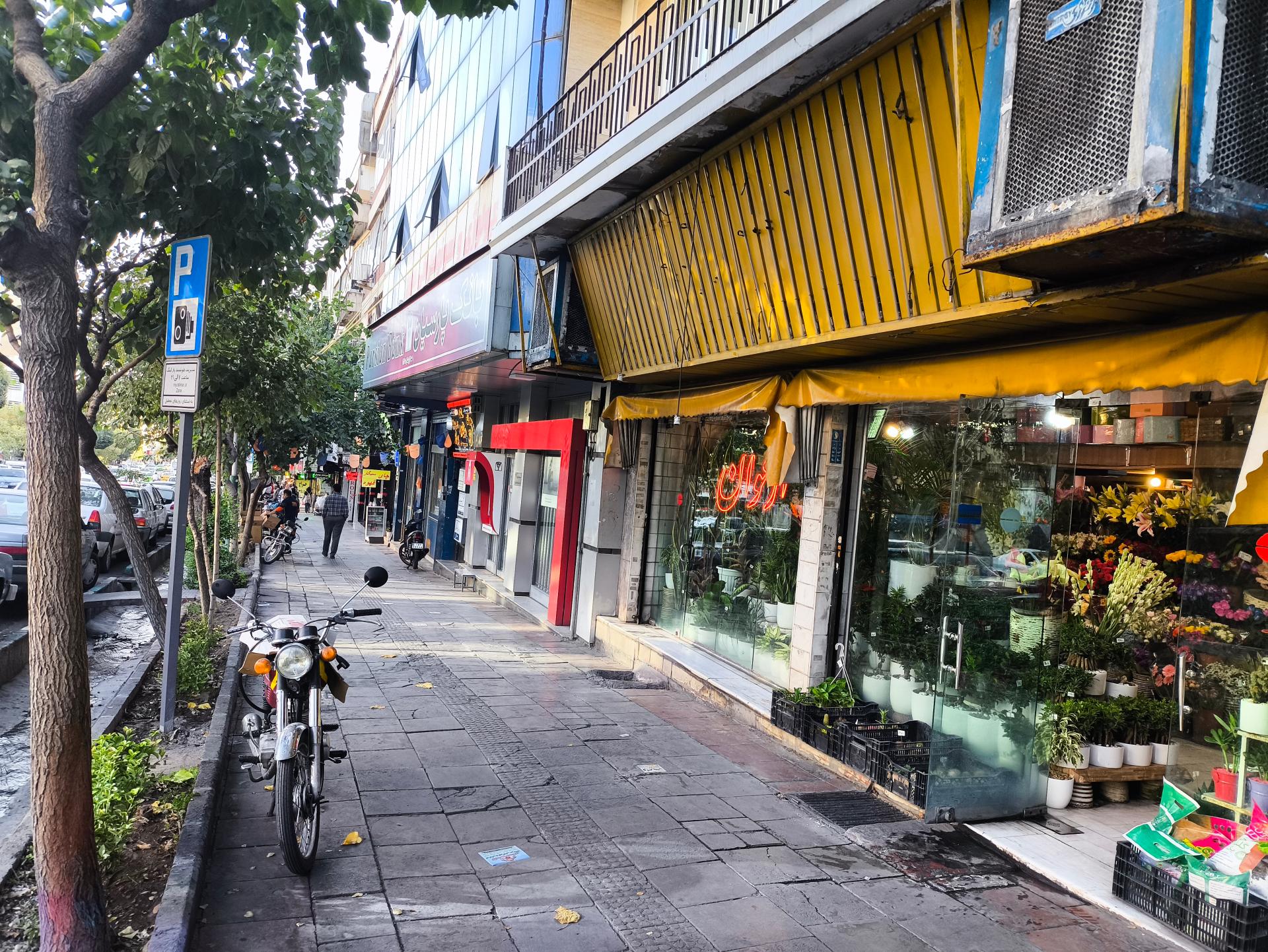 عکس گلستان ارغوان