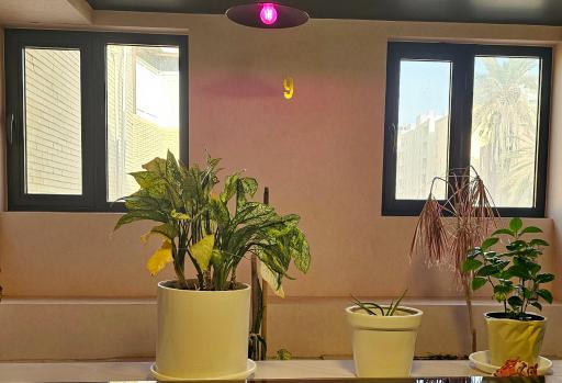 عکس رستوران آقای ماهی