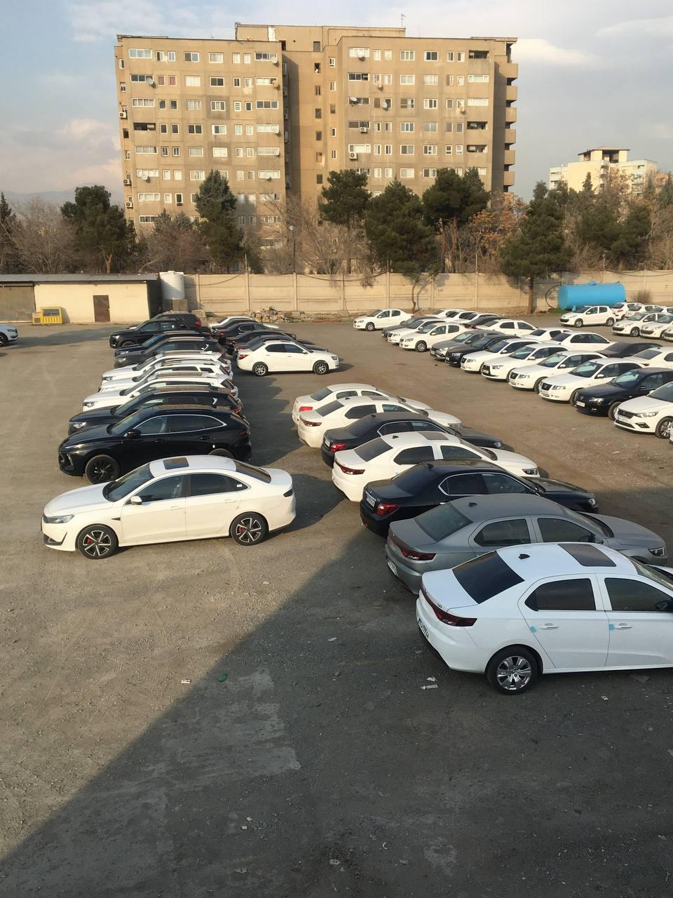 عکس اتوگالری داود نصاری