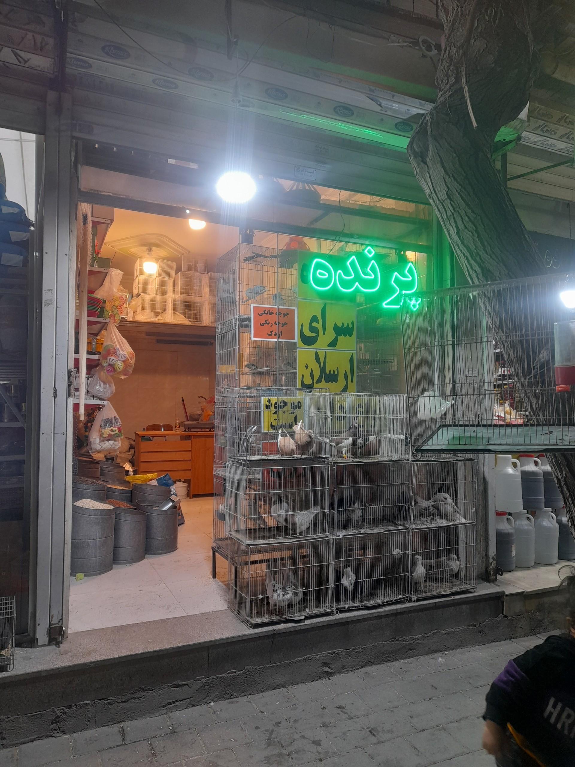 عکس پرنده فروشی ارسلان