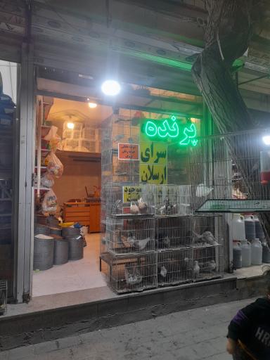 عکس پرنده فروشی ارسلان