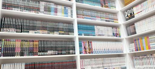 عکس کتاب و مجسمه دکوری پارس مانگا