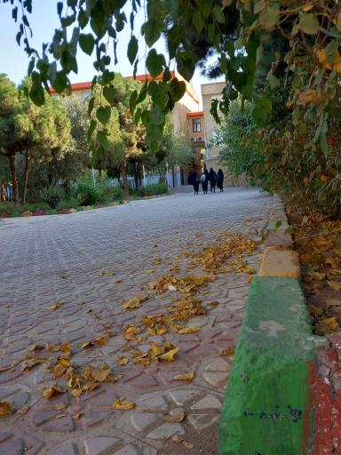 عکس دانشگاه فرهنگیان پردیس حضرت معصومه (س)