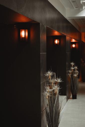 عکس بولینگ جهان ساتراپ