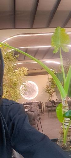 عکس کترینگ سران