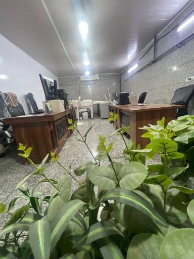 عکس چاپ ستاره هنر