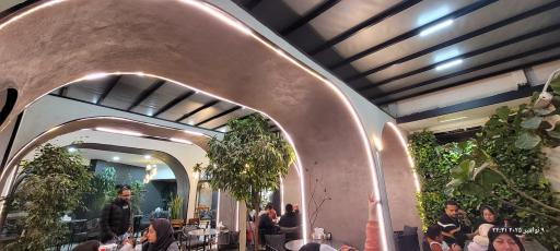 عکس کترینگ سران