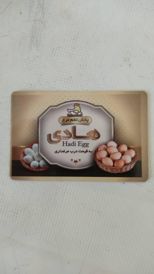 عکس پخش تخم مرغ مرادی