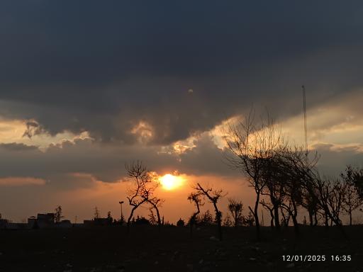 عکس پارک سارگل