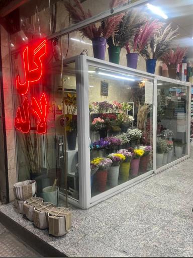 عکس گل فروشی لاله