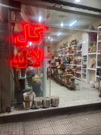 عکس گل فروشی لاله
