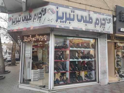 عکس چرم تبریز