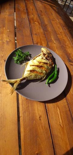 عکس رستوران غذاهای دریایی کاپیتان 