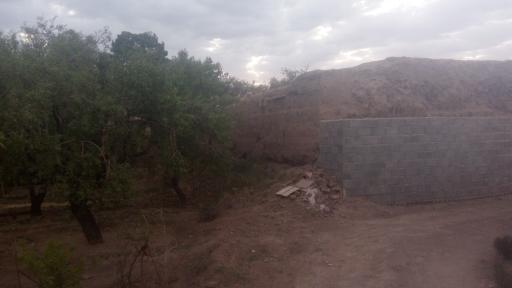 عکس کچی برزاوند