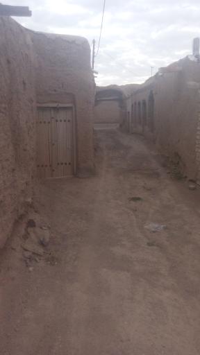 عکس کچی برزاوند