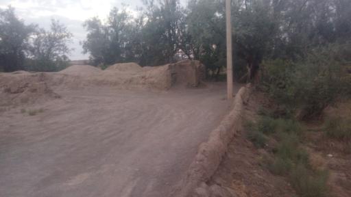 عکس کچی برزاوند