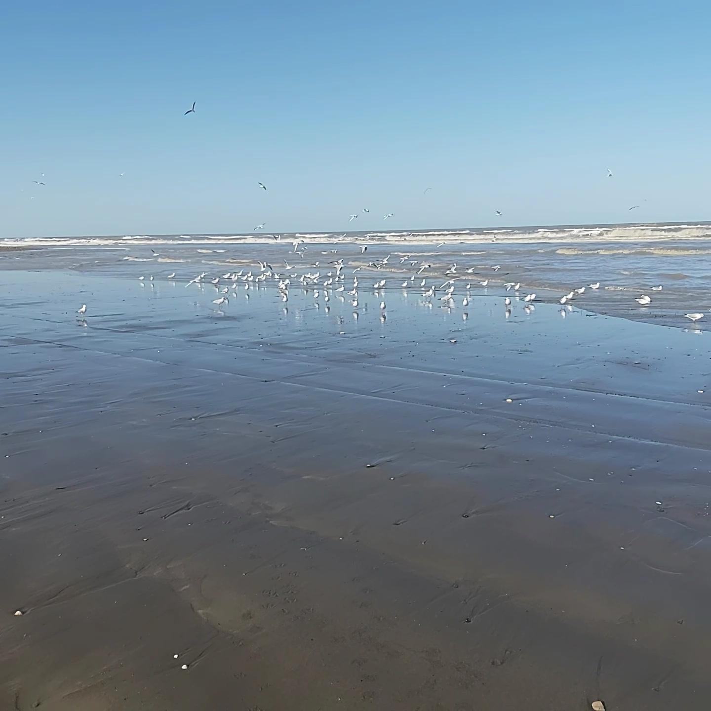 عکس ساحل خط ۹ چالوس