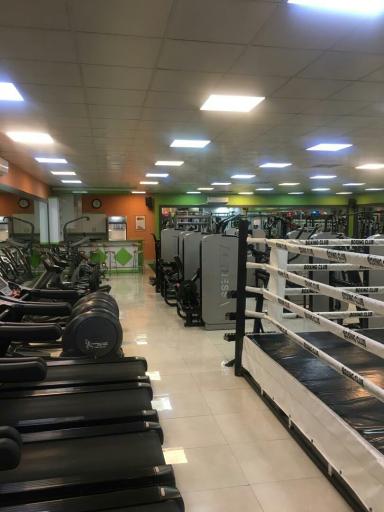 عکس خانه ورزش بانوان تبریزی