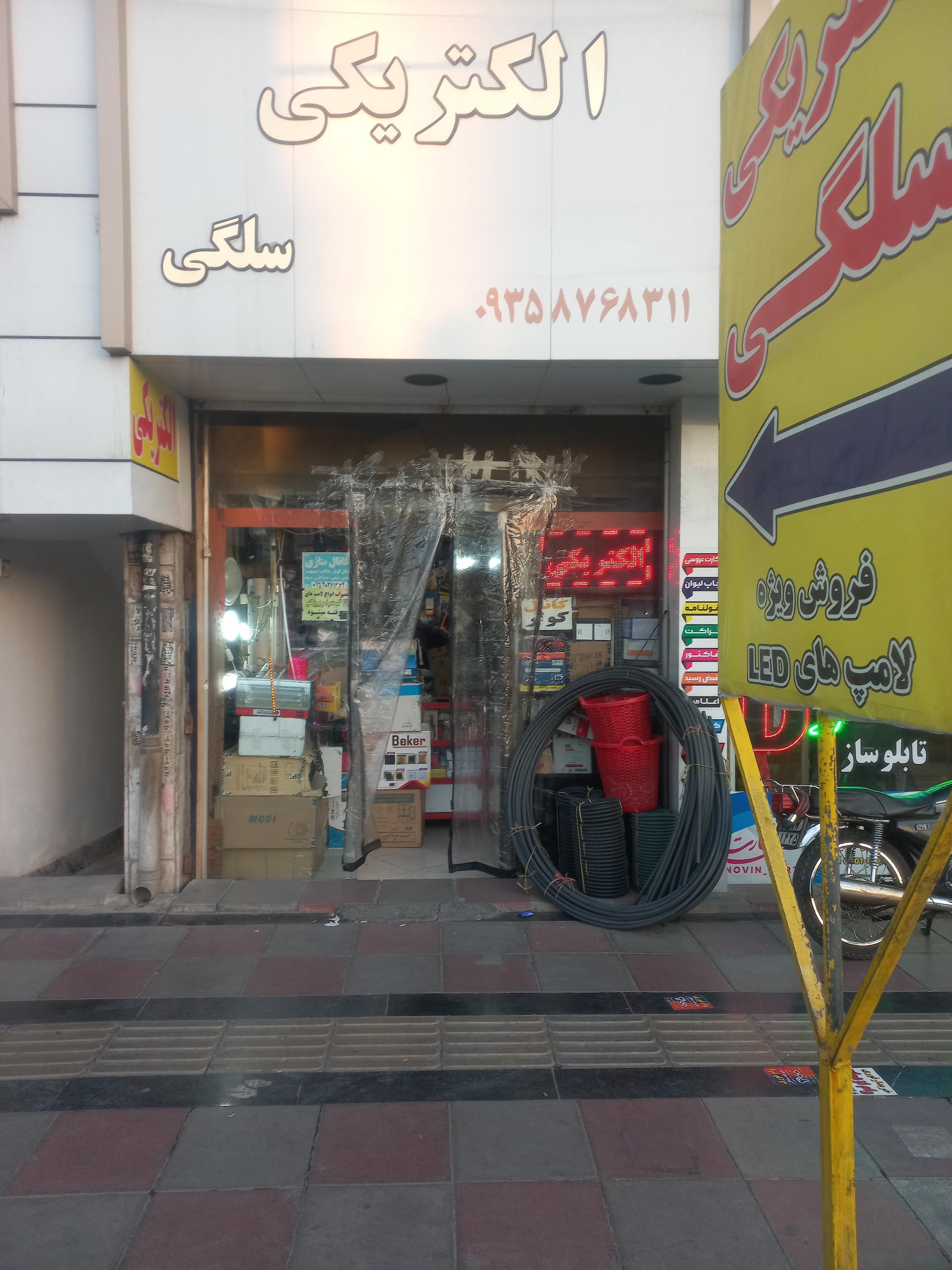 عکس الکتریکی سلگی