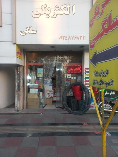 عکس الکتریکی سلگی