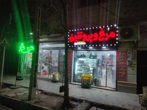 عکس مرغ و پروتئین محمدی