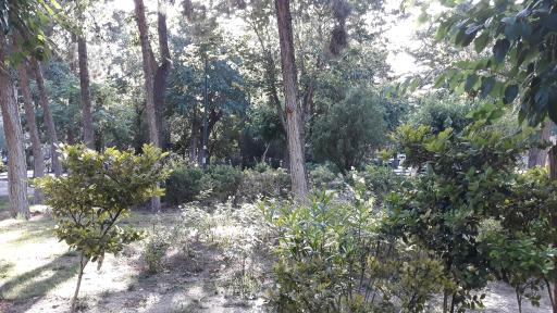 عکس بوستان هفتم تیر