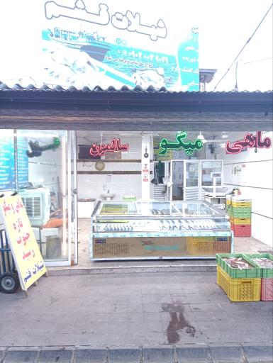 عکس بازار ماهی فروشی شیلات قشم