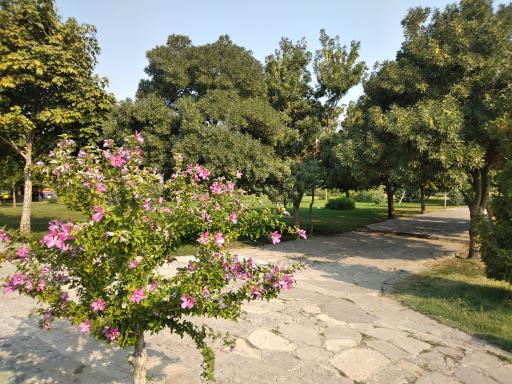 عکس پارک ائللر باغی