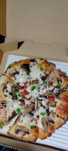 عکس پیتزا شبنم